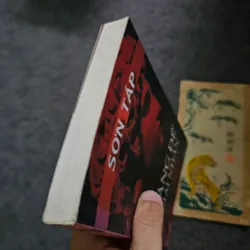 Hoàng đế và giai nhân - Sơn Táp 733994