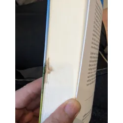 Tự do học tập - Peter Gray 701527