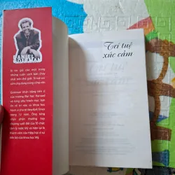 Trí Tuệ Xúc Cảm 936243