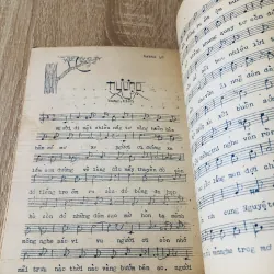 HOA SOAN BÊN THỀM CŨ 1972 993284