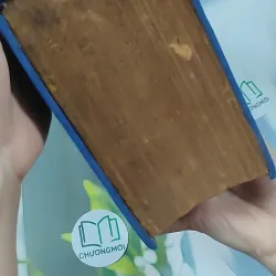 [MIỄN PHÍ BỌC SÁCH] Từ Điển Anh - Việt - Viện Ngôn Ngữ 750747