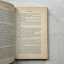 The Outsiders - S.E. Hinton  933411