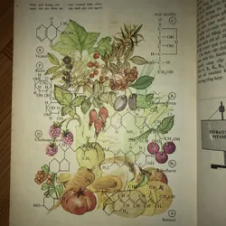 Từ điển bách khoa nhà hoá học trẻ tuổi  731806