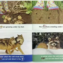 Lets find out level 1+2 (Sách nhập) - Mỗi level 24 quyển + File Mp3 759596