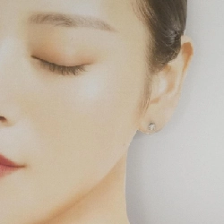 PT900 Bông tai kim cương 0.40CT - Hàng hiệu Authentic 864023