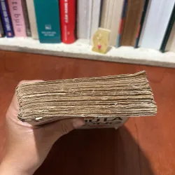 II Tiểu Thuyết: Yêu Như Là Sống - Nguyễn Mạnh Tuấn - 1988 781596