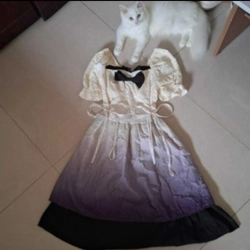 đầm loang màu tay bồng bo chun, phong cách công chúa lolita 332269