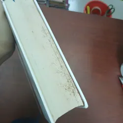NỀN TẢNG VĂN MINH PHƯƠNG TÂY (BÌA CỨNG) 1033443