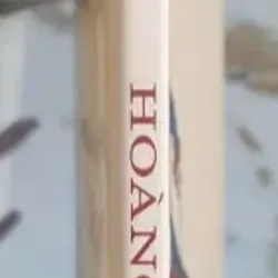 Hoàng Tử Bé - Bùi Giáng dịch - ấn bản 2011 751531