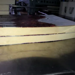 Hoá ra anh vẫn ở đây - Tân Di Ổ 1019141