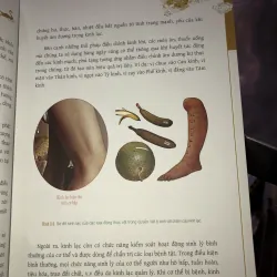 Cẩm nang dưỡng sinh thông kinh lạc  1029288