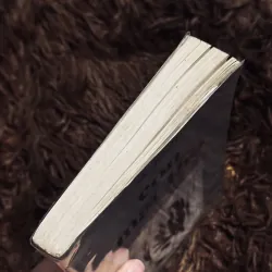 Con mắt thơ 1030666