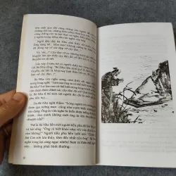 NHỮNG TÌNH CẢM VĨNH HẰNG 718938