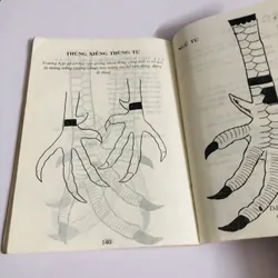 CÁCH CHỌN GÀ ĐÁ  726848