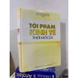 Tội phạm kinh tế thời mở cửa - Nguyễn Xuân Yêm, Nguyễn Hòa Bình chủ biên