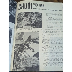 Tạp chí hương quê ( nguyệt san ) - nhiều tác giả 1006761