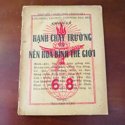 Hạnh chay trường và nền hoà bình thế giới 