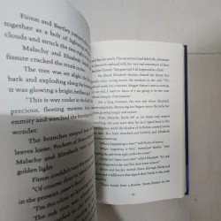 Sách The storm keeper's island 785928