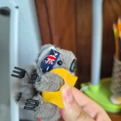 Kẹp Koala Úc - dùng làm kẹp máy tính, kẹp gương 973819