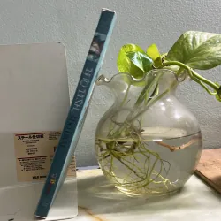 Bảo Bình khó hiểu 762815