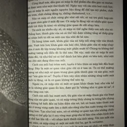 Biểu tượng và ý nghĩa của các loài thú trong thánh kinh  733494