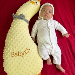 Gấu ôm cho Bé 446665