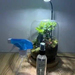 Bể terrarium nhà Xanh Zone 1063219