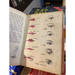 Impara l’arte - B. W. Jaxtheimer 1022854