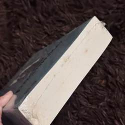 Pachinko (seal) 929439