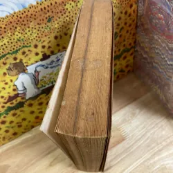 A Beautiful Mind - Sylvia Nasar 928068