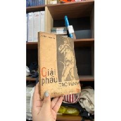 Giải phẫu tạo hình - Lương Xuân Nhị 450007