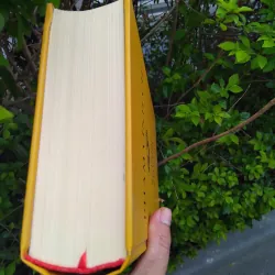 Sáng tạo và giao lưu của GS Phạm Vĩnh Cư 972237