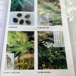 TỪ ĐIỂN CÂY THUỐC VIỆT NAM - VÕ VĂN CHI 930937