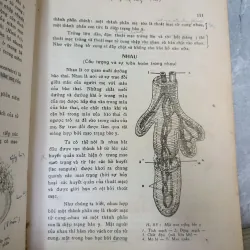 SẢN KHOA - BÁC SĨ: ĐẶNG HOÁ LONG 592052