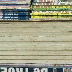 Hiệp sĩ có phép màu full 9 tập 607359