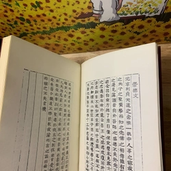 Đông Kinh Đại Toàn - Choi Jae U 539866