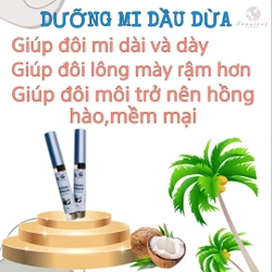 Dưỡng mi tinh dầu dừa