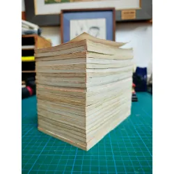 Truyện tranh Tiên Nữ Giáng Trần - You Hyun (full bộ) 119983