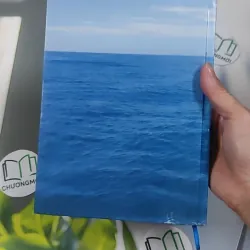 Nguồn Sáng Vô Tận - Thích Thái Hòa 990452