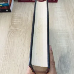 NGƯỜI VIỆT NAM Ở NƯỚC NGOÀI – Trần Trọng Đăng Đàn 925774