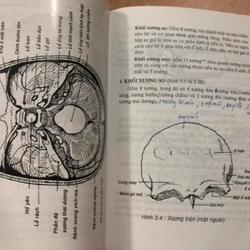 Sách cũ Giản yếu giải phẫu người 307043
