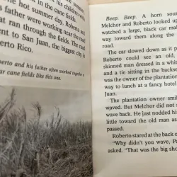 Roberto Clemente- We'll never forget you 753370