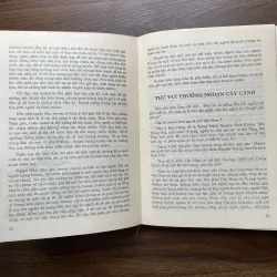 Bonsai 🌿🌿 961565