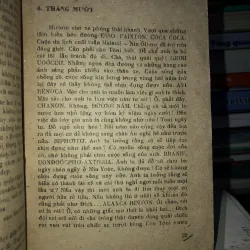 Bóng chim câu trên sóng biển Maiami - Danien Chavaria 789050