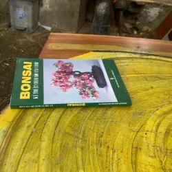  BONSAI KỸ THUẬT CHĂM SÓC CÂY CẢNH  759675