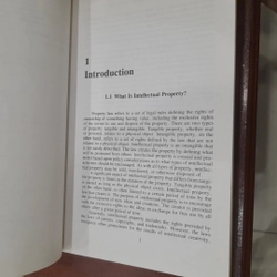 INTRODYCTION to INTELLECTUAL PROPERTY LAW 546288