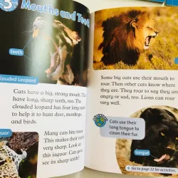 Oxford read and discover (Sách nhập) - Level 1 - 20 quyển + File Mp3 799723