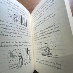 Diary of a wimpy kid Cabin fever 366445