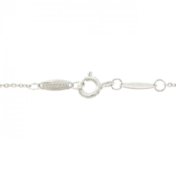 Dây chuyền Tiffany By The Yard - Hàng hiệu Authentic 841559