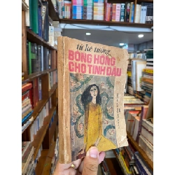 Bông hồng cho tình đầu - Từ Kế Tường 431168